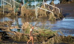 Un homme le long du fleuve Tamagawa à Kawasaki le 13 octobre 2019, après le passage du typhon Hagibis
