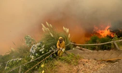 Un pompier lutte contre le feu de forĂȘt Ă Funchal, sur l'Ăźle portugaise de MadĂšre, le 9 aoĂ»t 2016