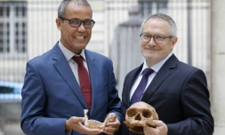 Le Français Jean-Jacques Hublin (d), directeur du département d'Evolution humaine à l'Institut Max Planck de Leipzig (Allemagne), et Abdelouahed Ben-Ncer de l?Institut national d?archéologie et du patrimoine du Maroc, le 6 juin 2017 à Paris