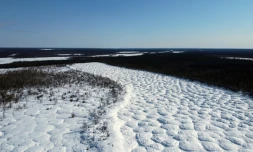Vue aérienne de champs tapissés de bosses formées par le dégel du pergélisol, connues sous le nom de "bylars" en langue iakoute, près du bourg de Tchouraptcha, à environ 135 kilomètres de Iakoutsk, en Sibérie orientale, le 29 mars 2025