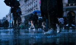 L'année 2024, attendue comme la plus chaude dans le monde, sera aussi l'une des plus chaudes et des plus pluvieuses pour la France