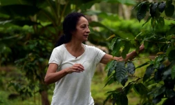 Maria Elena Guerra, caféicultrice, dans sa plantation sur l'île de Santa Cruz, le 16 avril 2021 aux Galapagos