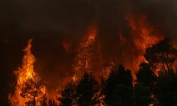 La fumée d’un incendie de forêt s’élevant tandis que les flammes brûlent les arbres et la végétation dans la région de Porto Germeno, le 1er août 2026