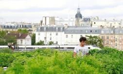 Un employé de la start-up Aeromate surveille les plantations sur le toit d'un bâtiment de la RATP à Paris le 24 août 2017
