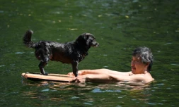 Les habitants de Pékin se rafraichissent par tous les moyens durant la journée la plus chaude de ce mois, le 22 juin 2023