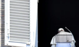 Le pape François au Vatican, le 22 juillet 2018