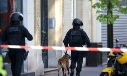 Un chien d'assaut des policiers d'élite du Raid, lors d'une opération le 16 avril 2014 à Levallois-Perret, près de Paris