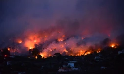 Un feu de forêt près d'Athènes, le 23 juillet 2018