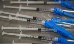 Des doses de vaccin Johnson & Johnson