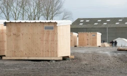 Après les commerces illégaux et l'extorsion d'argent pour l'accès aux douches, les passeurs se sont lancés dans le trafic des bracelets donnant accès au camp, monnayés entre 50 et 100 euros