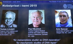 Les portraits des lauréats du prix Nobel de chimie, (de g à d) le Suédois Tomas Lindahl, l'Américain Paul Modrich et le Turco-Américain Aziz Sancar présentés sur un écran à l'Académie royale  des sciences le 7 octobre 2015 à Stockholm