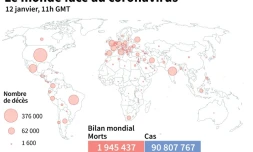 Le monde face au coronavirus