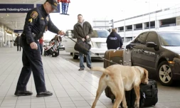 Un chien renifleur à l'aéroport de Detroit, le 26 décembre 2009