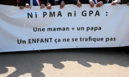 Manifestation anti-PMA et anti-GPA le 5 mai 2013 à Lyon