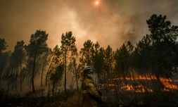 Un pompier lutte contre un incendie, le 22 juillet 2019 Ă Casais de Sao Bento, dans le centre du Portugal