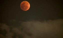 Une "Lune de sang" observée depuis Johannesburg le 7 septembre 2025