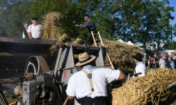 Des agriculteurs à la 800Úme édition de la foire de Beaucroissant, en IsÚre, le 13 septembre 2019