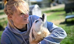 Stéphanie Lisicki, ancienne assistante vétérinaire et fondatrice du refuge pour animaux handicapés Suzi Handicap, avec la chienne Buzuka, victime d'un coup de hache dans la mâchoire en Roumanie, le 18 mars 2025 à Montreuil-au-Houlme, dans l'Orne