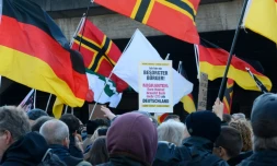 Des sympathisants d'extrême droite manifestent, le 9 janvier 2016 à Cologne
