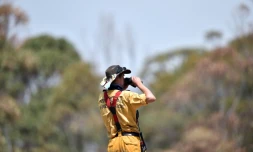 Un pompier surveille l'avancée des incendies dans la région de Penrose, en Nouvelles-Galles du Sud, en Australie, le 10 janvier 2020