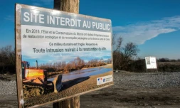 Un panneau "site interdit au public" à l'entrée de l'ancien camp de migrants de Calais, dit la "jungle", le 18 janvier 2017