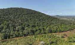 Vue aérienne d'une partie de la colline boisée de Mrima hill, à Lunga-Lunga, dans le sud-est du Kenya prÚs de la frontiÚre tanzanienne, le 26 septembre 2025