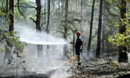 Un pompier arrose les arbres et le sous-bois pendant un incendie dans la forêt de Fontainebleau, à Noisy-sur-École, le 16 juillet 2026 en Seine-et-Marne
