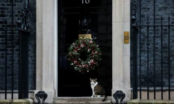 Le chat Larry devant l'entrée de sa résidence au 10 Downing Street, le 19 décembre 2020