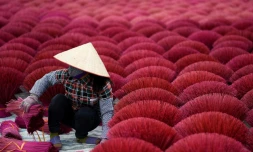 Une femme collecte des bottes d'encens dans le village de Quang Phu Cau, à la périphérie de Hanoï, le 3 janvier 2019