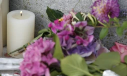 Fleurs et bougies devant la mairie en hommage au prĂȘtre assassinĂ©, le 26 juillet 2016 Ă Saint-Etienne du Rouvray