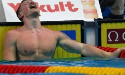 Le Britannique Adam Peaty après avoir battu son propre record du monde du 50 m brasse, en demi-finale des Mondiaux, le 25 juillet 2017 à Budapest