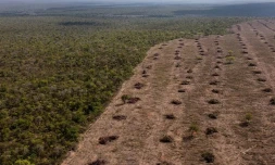 Vue aérienne de la savane du Cerrado, touchée par la déforestation, le 25 septembre 2023 à San Desiderio, dans le centre-est du Brésil