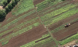 Agriculture
