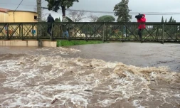 La rivière Massane est sorti de son lit, sous l'effet de la tempête Gloria, le 22 janvier 2020 à Argelès-sur-Mer