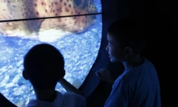 Pavillon de La Réunion à l'exposition universelle de Shanghaï en Chine (Photo Bruno Bamba - SR21)