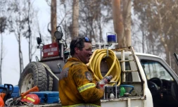 Un pompier à Batlow, dans le sud-est de l'Australie, le 8 janvier 2020