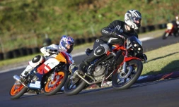 Samedi 21 et dimanche 22 Août

Cyclo - Les 24 heures de la Jamaïque photo Image- Réunion.re