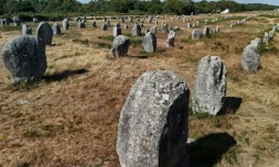 Vue générale le 4 juillet 2025 de l'alignement des mégalithes de Carnac (ouest) qui viennent d'être classés au patrimoine mondial par l'Unesco
