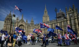 Des manifestants pro-européens rassemblés devant le parlement britannique à Londres le 11 juin 2018