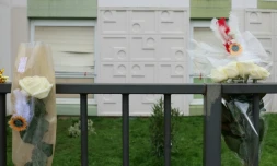 Des fleurs déposées devant l'immeuble où les corps d'une femme et de ses quatre enfants ont été retrouvés, le 26 décembre 2023 à Meaux, en Seine-et-Marne