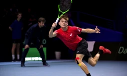 Le Belge David Goffin, vainqueur du Français Lucas Pouille, le 24 novembre 2017 en finale de Coupe Davis