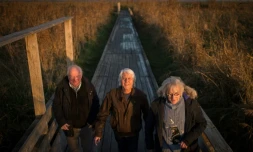 Les membres de Tri Yann - (de G à D) Jean Chocun, Jean-Paul Corbineau et Jean-Louis Jossic - posent le 4 décembre 2019 à  Lavau-sur-Loire, près de Nantes
