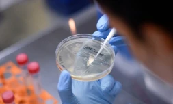 Les laboratoires français Sanofi et britannique GSK ont promis de fournir au gouvernement britannique 60 millions de doses de leur vaccin contre le Covid-19