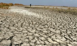 Le sanctuaire d'oiseaux de Nalsarovar, prÚs d'Ahmedabad en Inde, durement touché par la sécheresse, le 29 mai 2016