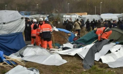 DémantÚlement d'abris dans la jungle de Calais le 29 février 2016