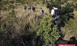 Site de reconstitution de la forêt semi-sèche de La Grande Chaloupe (photo d'archives)