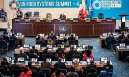 Réunion sur l'alimentation dans le monde, co-organisée par l'Ethiopie et l'Italie, le 28 juillet 2025, à Addis Abeba 