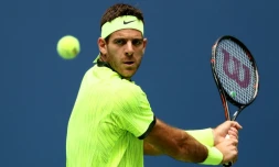 L'Argentin Juan Martin del Potro face à l'Autrichien Dominic Thiem en 8e de finale de l'US Open, le 5 septembre 2016  