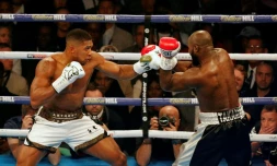 Le Britannique Anthony Joshua (g) face au Franco-Camerounais Carlos Takam pour défendre ses ceintures mondiales IBF et WBA des lourds, le 28 octobre 2018 à Cardiff