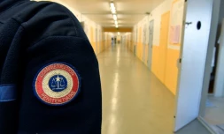 Incarcéré depuis sa mise en examen il y a deux ans dans une ffaire de pédophilie d'une ampleur inédite en France, un ancien chirurgien de 68 ans devra répondre en mars devant la cour d'assises de la Charente-Maritime à Saintes, des accusations de viols et d'agressions sexuelles sur quatre victimes, mineures à l'époque des faits